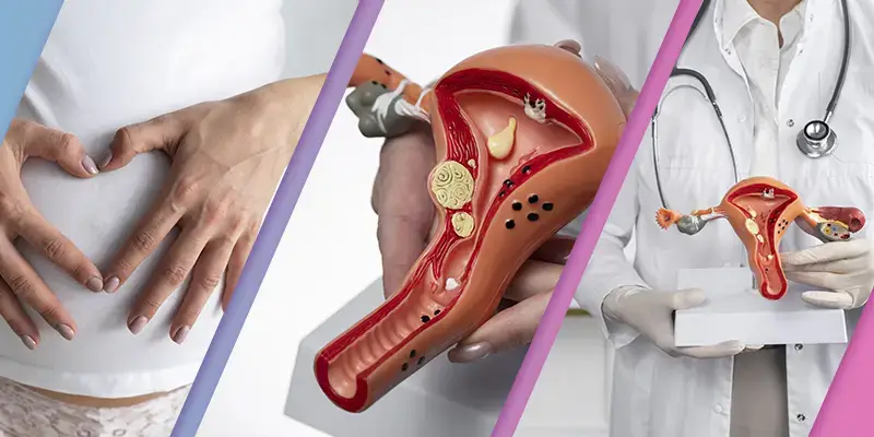 endometrio, endometrium